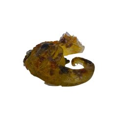 dragon des flammes alchimiques n°53