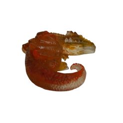 dragon des flammes alchimiques n°56