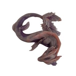 dragon sérénité n°154