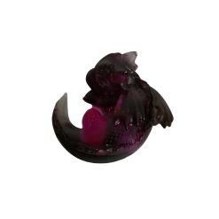 dragon l'enseignant