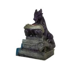 dragon l'enseignant 25.2